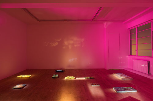 Samara Scott. Harvest installation view (2), The Sunday Painter. Courtesy of The Sunday Painter and the artist.