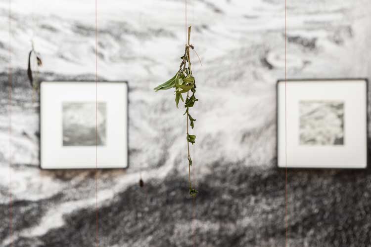 Kang Seung Lee, Erasure held like a fierce lantern, 2026. Part of The Dead Don’t Go Until We Do, 2026. Exhibition view, Talbot Rice Gallery, the University of Edinburgh. Photo: Sally Jubb.