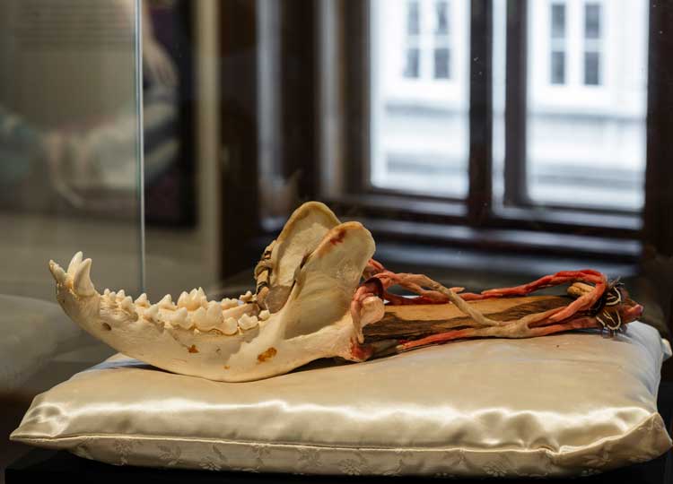 Birgit Jürgenssen. Relikteschuh (Relic Shoe), 1976. © Oliver Ottenschlaeger.