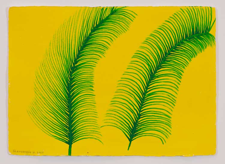 Sheroanawe Hakihiiwe, Masiko kekipi [Palmeras de espiritus que abanican el mundo / Palms of spirits that fan the world], 2023. Photo: Colin Davison, courtesy of the artist, Cecilia Brunson Projects and ABRA Caracas.