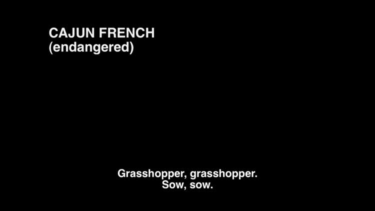 Susan Hiller, The Last Silent Movie, 2007. Single-channel projection, with sound, 20 mins 30 secs. Estate of Susan Hiller; Courtesy Lisson Gallery.