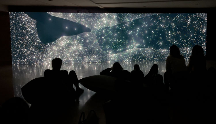 Wu Tsang. Installation view, Of Whales, Museo Nacional Thyssen-Bornemisza, Madrid. Photo: Martin Kennedy.