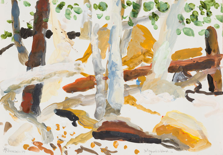 Ann Thomson. Magnetic Island XIX, 2017. Gouache on paper, 28 x 37.5 cm. © the artist.