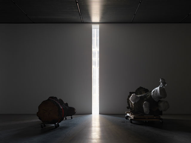 Work by Trisha Donnelly, installation view. Photo: Dan Bradica. Courtesy The Shed.