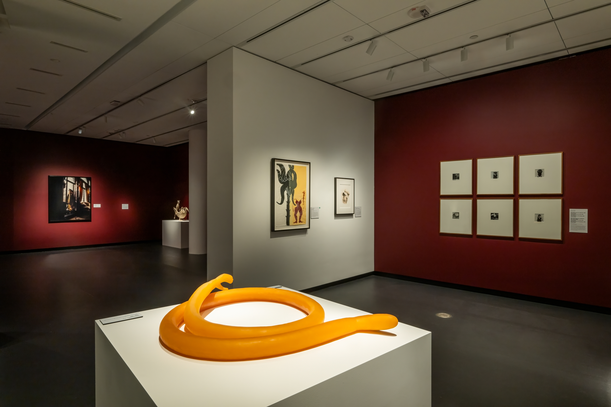 Installation view of Uncanny at the National Museum of Women in the Arts, Washington D.C. 28 February – 10 August 2025. Photo: Kevin Allen Photography for NMWA.