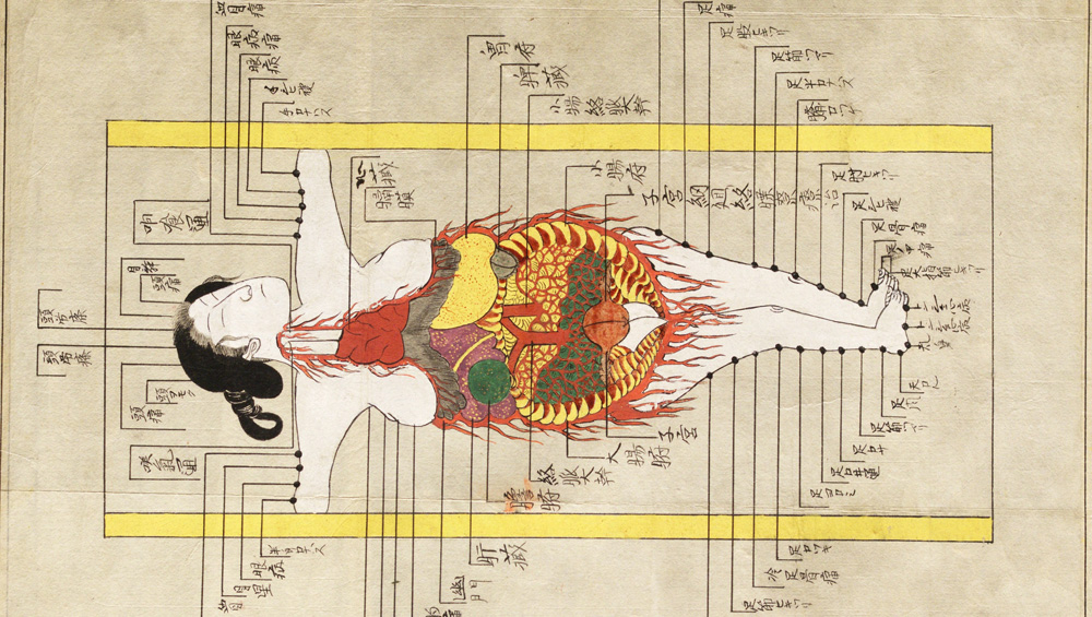 Illustration of the internal organs and acupuncture points in Shishi bessho zui. Hozumi Koremasa, 1820s. © Royal College of Physicians.