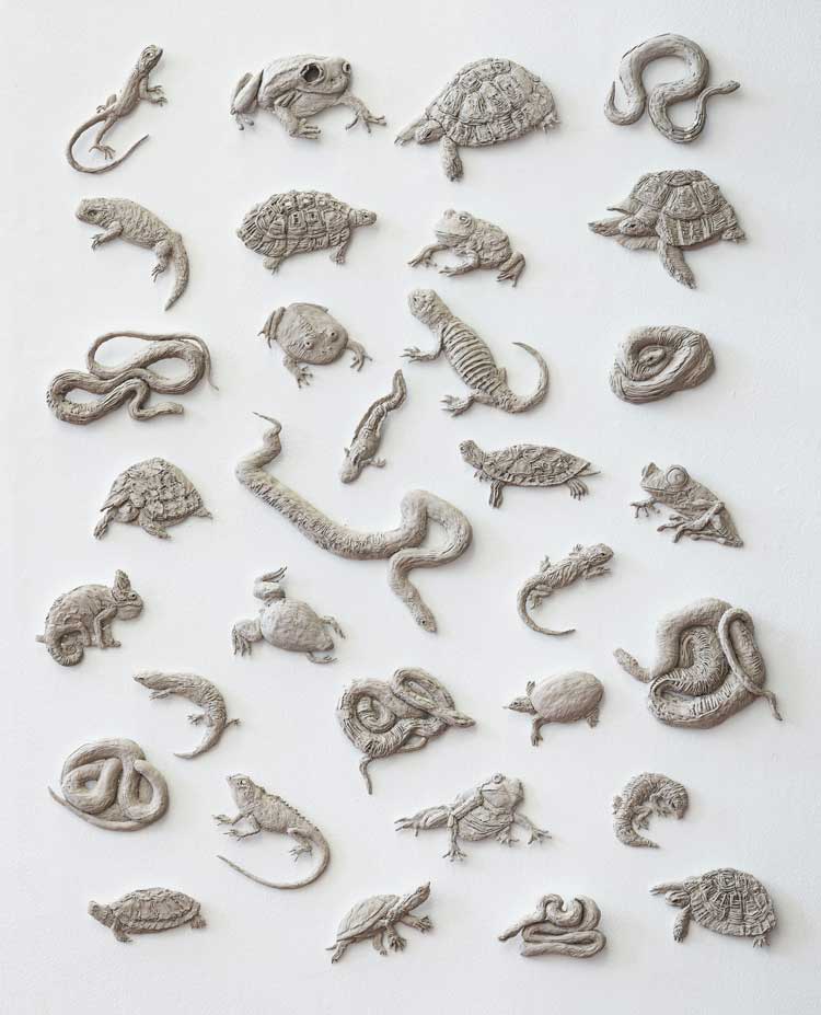 Daphne Wright. Pets, Amphibians and Reptiles, 2019. Mixed media. Photo: Jed Niezgoda, Courtesy the artist and Frith Street Gallery, London and Ashmolean Museum, University of Oxford.