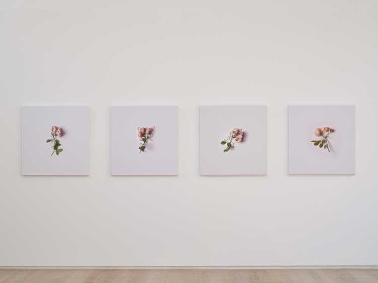 Alison Watt: From Light, installation view, Pitzhanger Manor & Gallery, London, 5 March – 15 June 2025. Photo: Andy Stagg.