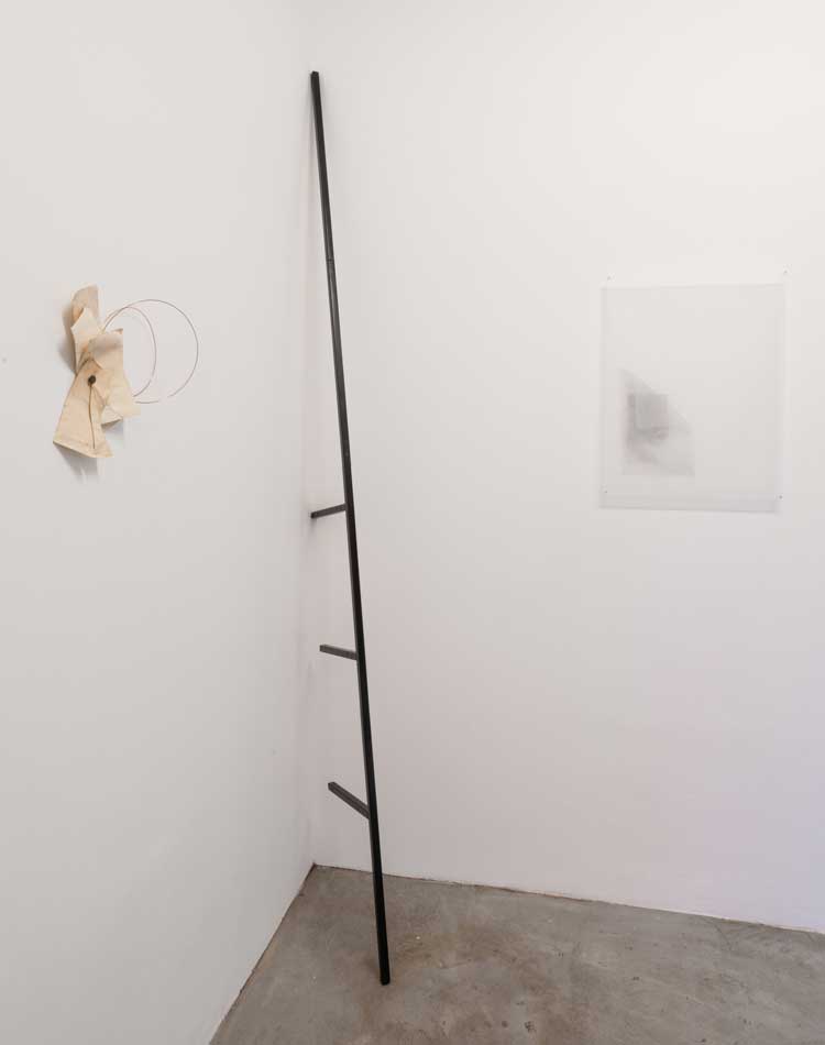 Francisca Aninat: Four Steps and a Looking Glass, installation view.