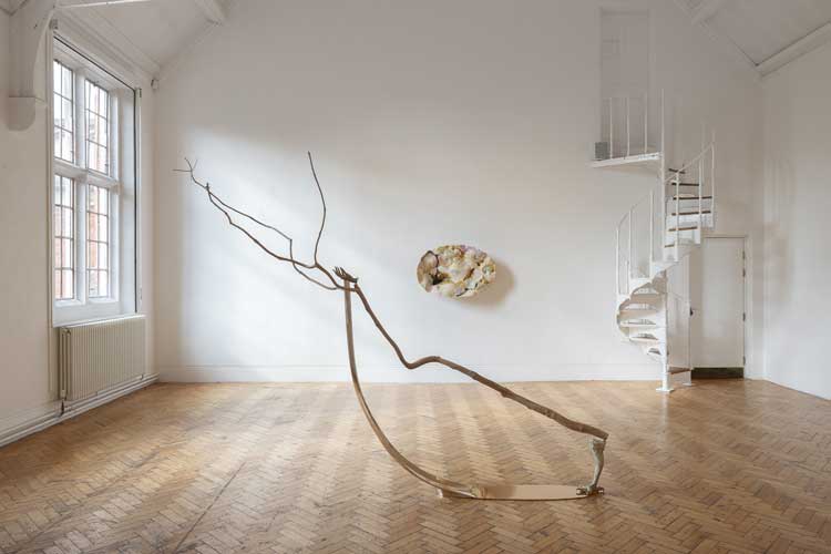 Installation view of Liz Larner, A Hard Line to Bend at Camden Art Centre, 2026. Photo: Rob Harris.