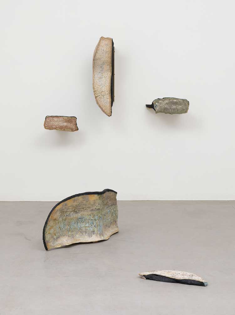 Liz Larner, Still and All, 2022.